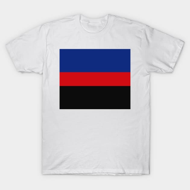 Seamless Repeating Polyamory Pride Flag Pattern T-Shirt by LiveLoudGraphics